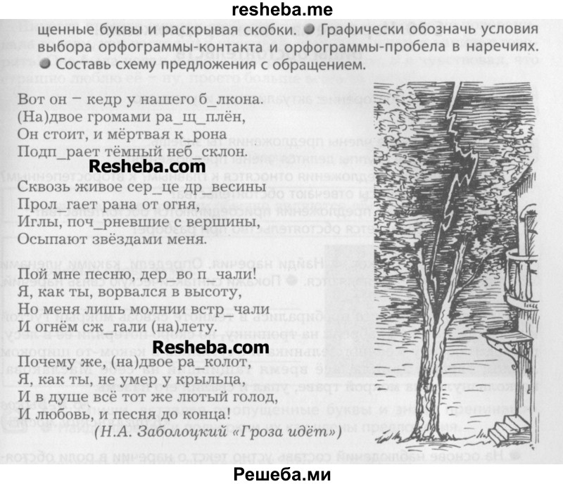     ГДЗ (Учебник) по
    русскому языку    7 класс
                Бунеев Р.Н.
     /        упражнение / 233
    (продолжение 3)
    