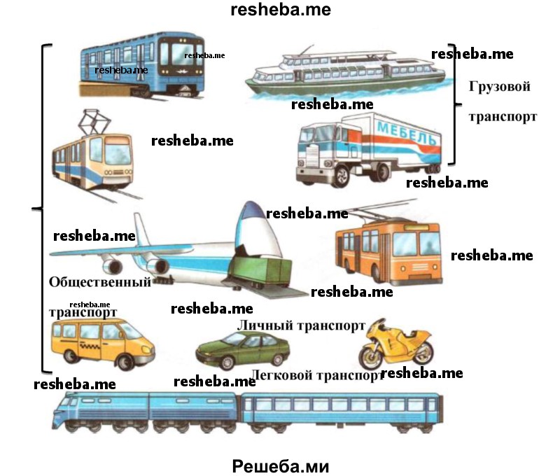 Рассмотри рисунки. Какой транспорт можно назвать грузовым, легковым, общественным, личным? Назови профессии людей, которые трудятся на транспорте