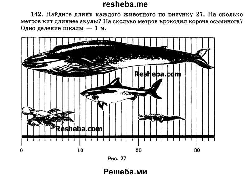 
    142.	Найдите длину каждого животного по рисунку 27. На сколько метров кит длиннее акулы? На сколько метров крокодил короче осьминога? Одно деление шкалы — 1м.
