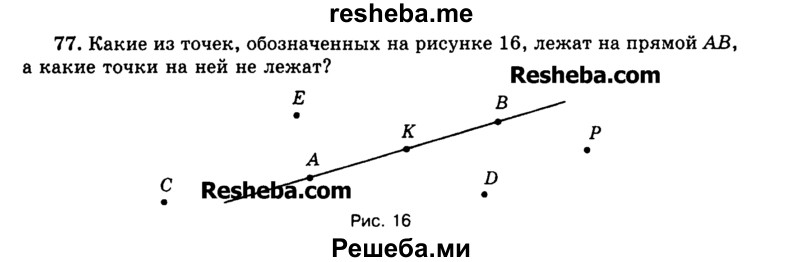 
    77.	Какие из точек, обозначенных на рисунке 16, лежат на прямой АВ, а какие точки на ней не лежат?
