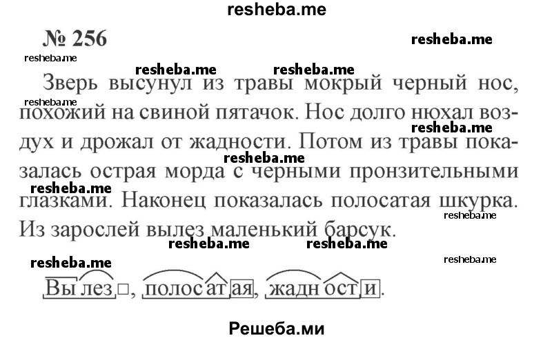     ГДЗ (Решебник 2015 №3) по
    русскому языку    3 класс
                В.П. Канакина
     /        часть 2 / упражнение / 256
    (продолжение 2)
    