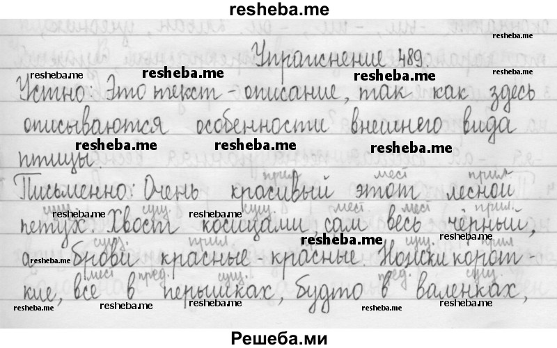     ГДЗ (Решебник) по
    русскому языку    3 класс
                Т.Г. Рамзаева
     /        упражнение № / 489
    (продолжение 2)
    