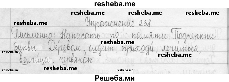     ГДЗ (Решебник 2016) по
    русскому языку    3 класс
                Т.Г. Рамзаева
     /        упражнение / 238
    (продолжение 2)
    