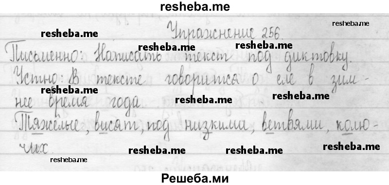     ГДЗ (Решебник 2016) по
    русскому языку    3 класс
                Т.Г. Рамзаева
     /        упражнение / 256
    (продолжение 2)
    