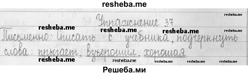     ГДЗ (Решебник 2016) по
    русскому языку    3 класс
                Т.Г. Рамзаева
     /        упражнение / 37
    (продолжение 2)
    