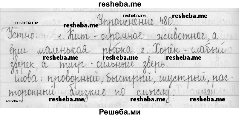     ГДЗ (Решебник 2016) по
    русскому языку    3 класс
                Т.Г. Рамзаева
     /        упражнение / 480
    (продолжение 2)
    