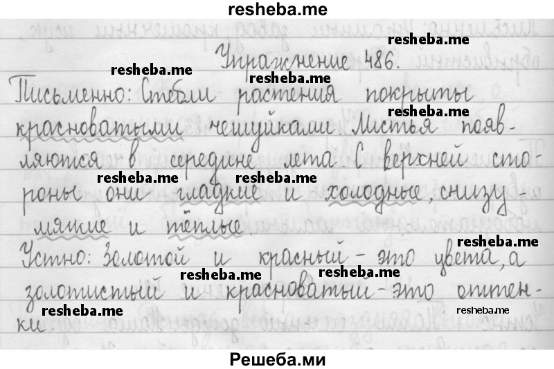     ГДЗ (Решебник 2016) по
    русскому языку    3 класс
                Т.Г. Рамзаева
     /        упражнение / 486
    (продолжение 2)
    