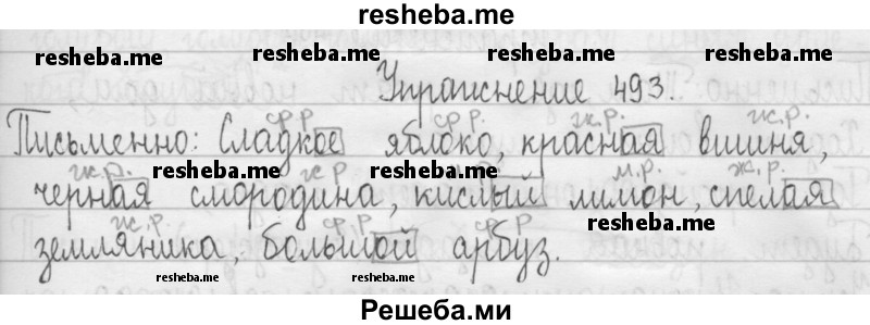     ГДЗ (Решебник 2016) по
    русскому языку    3 класс
                Т.Г. Рамзаева
     /        упражнение / 493
    (продолжение 2)
    
