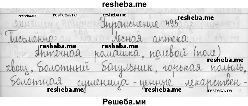     ГДЗ (Решебник 2016) по
    русскому языку    3 класс
                Т.Г. Рамзаева
     /        упражнение / 495
    (продолжение 2)
    