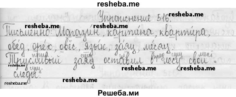     ГДЗ (Решебник 2016) по
    русскому языку    3 класс
                Т.Г. Рамзаева
     /        упражнение / 516
    (продолжение 2)
    