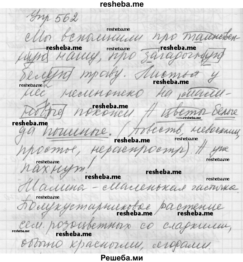     ГДЗ (Решебник) по
    русскому языку    5 класс
                А.Ю. Купалова
     /        упражнение № / 562
    (продолжение 2)
    