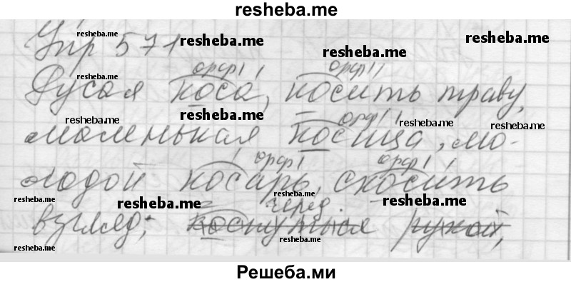     ГДЗ (Решебник) по
    русскому языку    5 класс
                А.Ю. Купалова
     /        упражнение № / 571
    (продолжение 2)
    