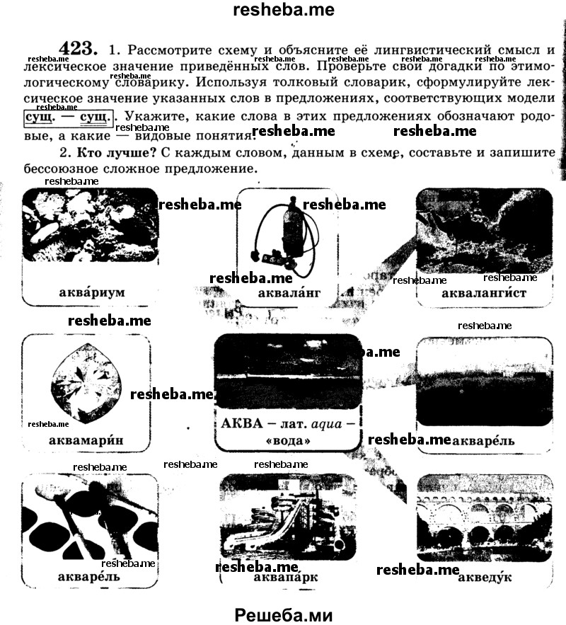     ГДЗ (Учебник) по
    русскому языку    9 класс
                С.И. Львова
     /        часть 1 / 423
    (продолжение 2)
    