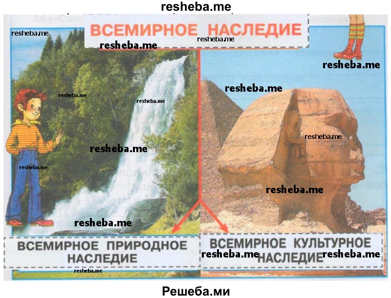 Сережа и Надя предлагают тебе закончить схему, используя таблички из приложения. Вырежи таблички и правильно расположи их