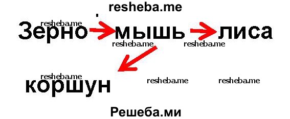 Составь схему цепи питания, характерной для лугового сообщества вашего края. Сравни ее со схемой, предложенной соседом по парте. С помощью этих схем расскажи об экологических связях в луговом сообществе