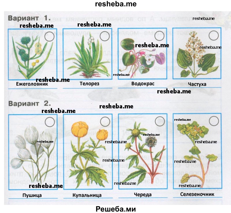 Знаешь ли ты растения