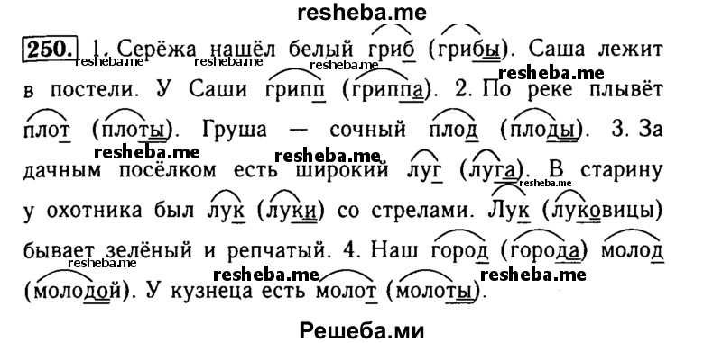     ГДЗ (Решебник №2) по
    русскому языку    2 класс
                Р.Н. Бунеев
     /        упражнение № / 250
    (продолжение 2)
    