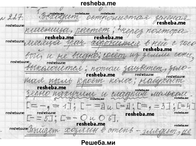     ГДЗ (Решебник к учебнику 2015) по
    русскому языку    9 класс
            (Практика)            Ю.С. Пичугов
     /        упражнение / 227
    (продолжение 2)
    