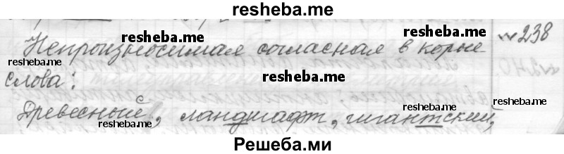     ГДЗ (Решебник к учебнику 2015) по
    русскому языку    9 класс
            (Практика)            Ю.С. Пичугов
     /        упражнение / 238
    (продолжение 2)
    