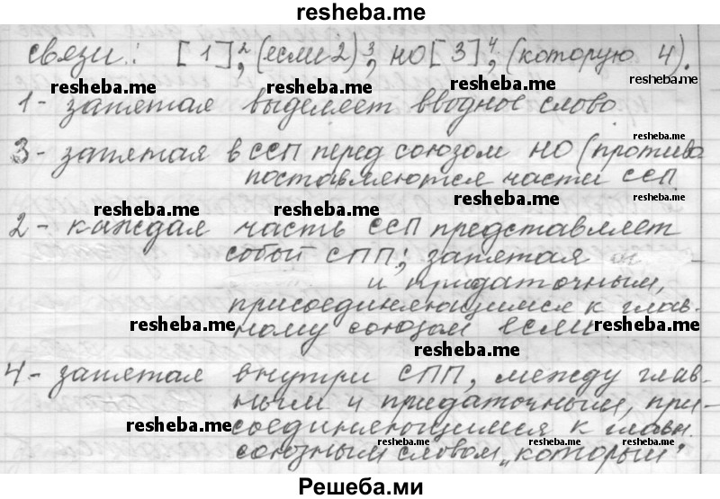 Русский язык 9 класс упражнение 55. Упражнение 24 по русскому языку.