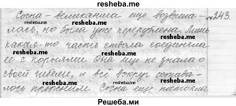     ГДЗ (Решебник к учебнику 2015) по
    русскому языку    9 класс
            (Практика)            Ю.С. Пичугов
     /        упражнение / 243
    (продолжение 2)
    