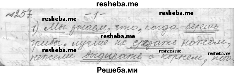     ГДЗ (Решебник к учебнику 2015) по
    русскому языку    9 класс
            (Практика)            Ю.С. Пичугов
     /        упражнение / 257
    (продолжение 2)
    