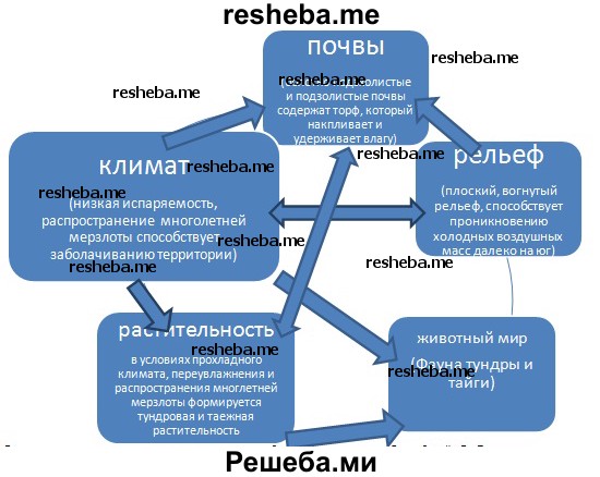 С помощью текста 50 учебника составьте схему взаимосвязей между компонентами природного комплекса