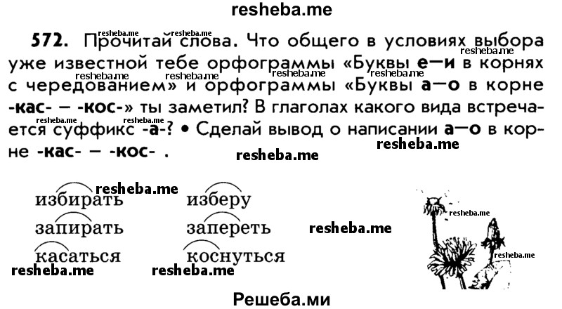     ГДЗ (Учебник) по
    русскому языку    5 класс
                Р.Н. Бунеев
     /        упражнение № / 572
    (продолжение 2)
    