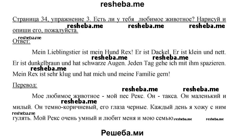     ГДЗ (Решебник 2012) по
    немецкому языку    5 класс
            (рабочая тетрадь)            И.Л. Бим
     /        страница / 34
    (продолжение 3)
    
