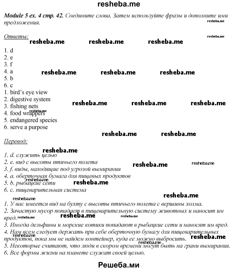     ГДЗ (Решебник 2015) по
    английскому языку    10 класс
            (рабочая тетрадь Spotlight)            О. В. Афанасьева
     /        страница / 42
    (продолжение 4)
    