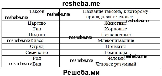 Пользуясь текстом параграфа составьте схему показывающую систематическое положение человека