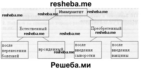 После изучения материала о миграциях составьте обобщающую схему виды