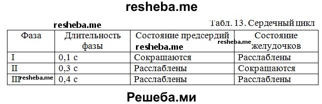 РАБОТА СЕРДЦА