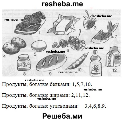 Рассмотрите рисунки какими цифрами обозначены продукты животного и растительного происхождения