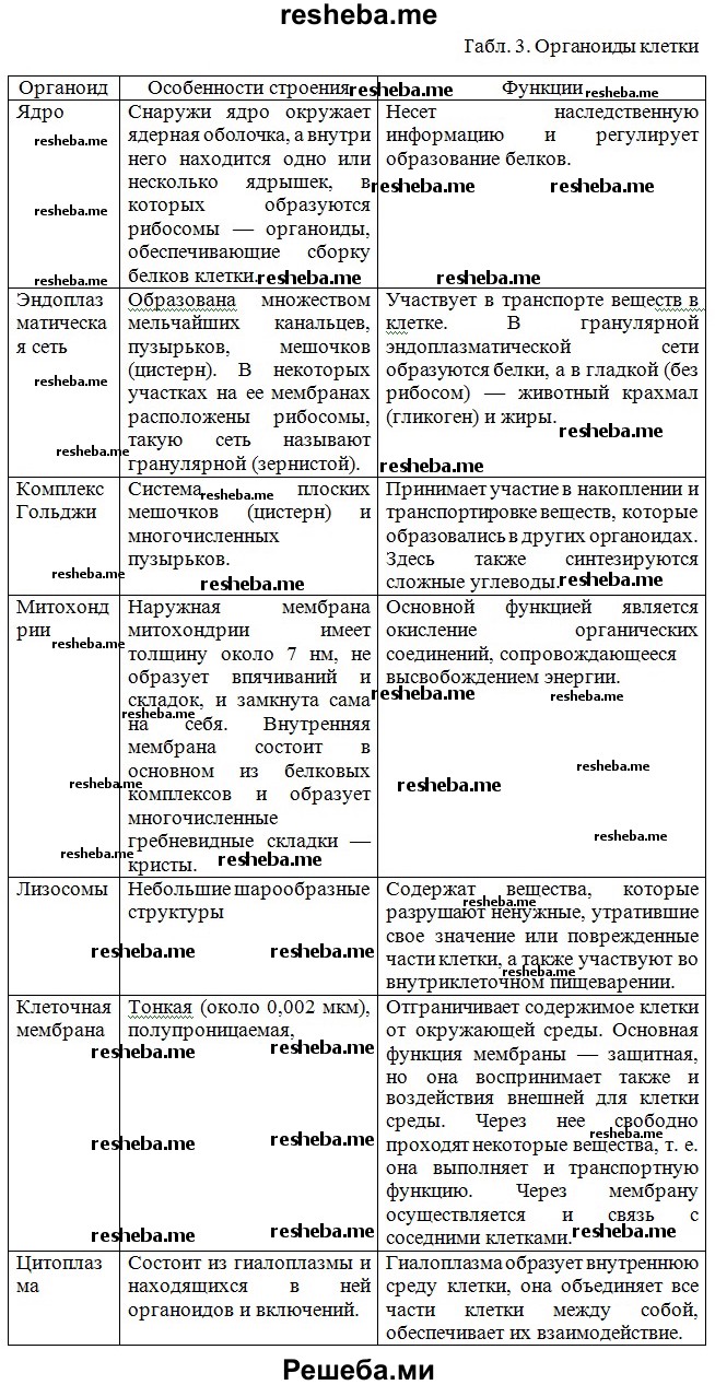 Функции органоидов класс. Строение и функции органоидов клетки таблица 10 класс. Функции органоидов клетки таблица 9 класс. Органоиды клетки строение и функции таблица 10. Функции органоидов клетки таблица 7 класс.