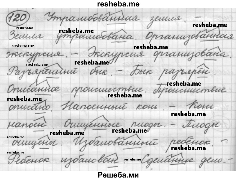     ГДЗ (Решебник 2016) по
    русскому языку    7 класс
                Л. М. Рыбченкова
     /        упражнение / 120
    (продолжение 2)
    