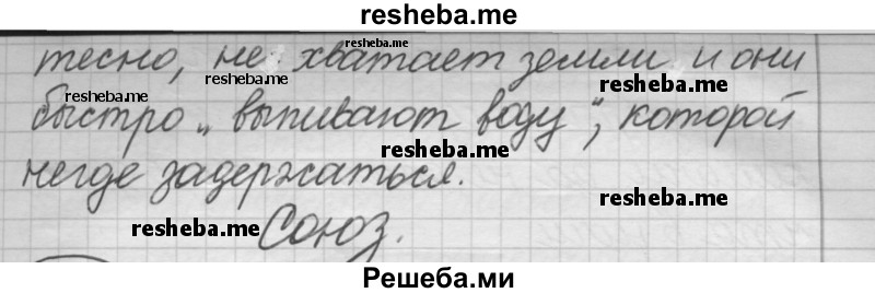     ГДЗ (Решебник 2016) по
    русскому языку    7 класс
                Л. М. Рыбченкова
     /        упражнение / 293
    (продолжение 7)
    