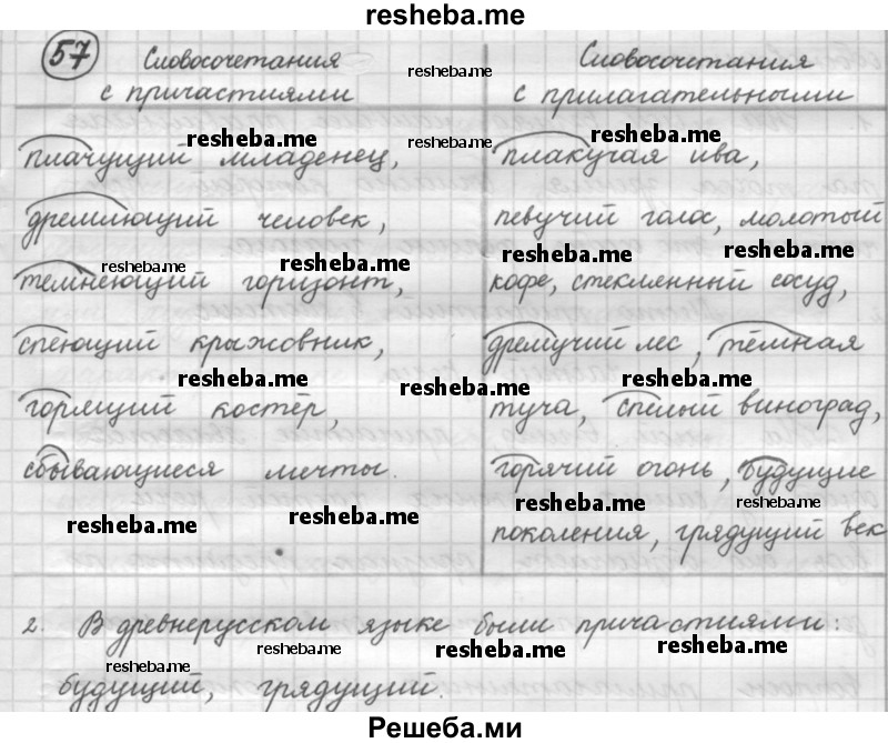     ГДЗ (Решебник 2016) по
    русскому языку    7 класс
                Л. М. Рыбченкова
     /        упражнение / 57
    (продолжение 2)
    