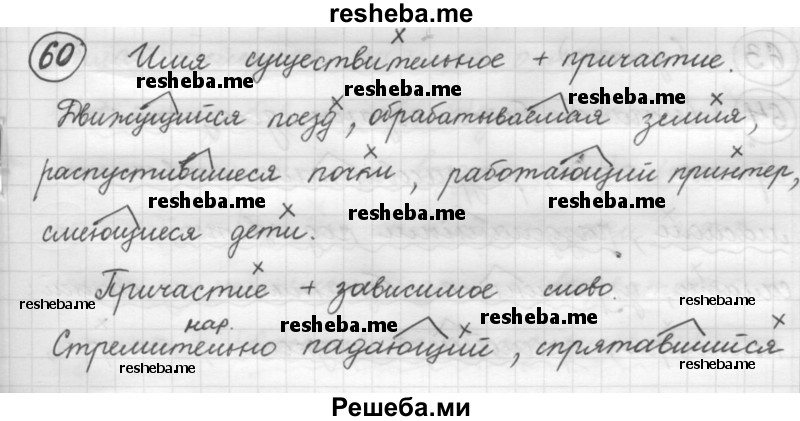     ГДЗ (Решебник 2016) по
    русскому языку    7 класс
                Л. М. Рыбченкова
     /        упражнение / 60
    (продолжение 2)
    