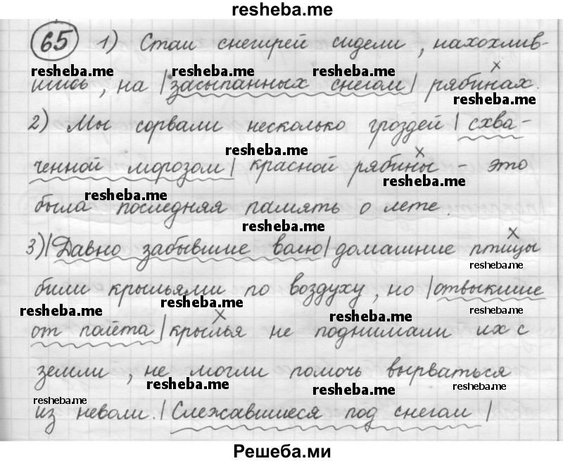     ГДЗ (Решебник 2016) по
    русскому языку    7 класс
                Л. М. Рыбченкова
     /        упражнение / 65
    (продолжение 2)
    