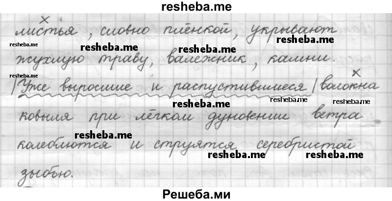     ГДЗ (Решебник 2016) по
    русскому языку    7 класс
                Л. М. Рыбченкова
     /        упражнение / 65
    (продолжение 3)
    