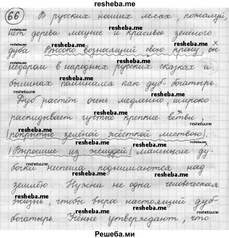     ГДЗ (Решебник 2016) по
    русскому языку    7 класс
                Л. М. Рыбченкова
     /        упражнение / 66
    (продолжение 2)
    