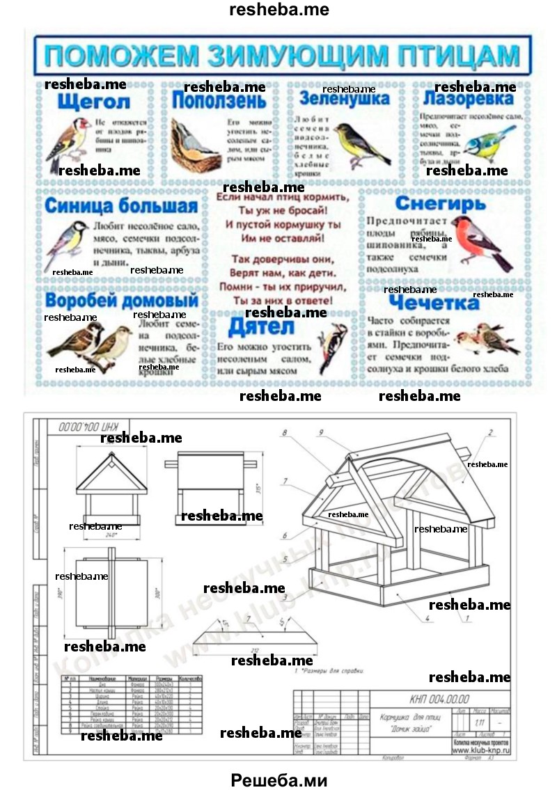 Разработайте проект по оказанию помощи зимующим птицам вашего региона. Нарисуйте схему кормушки