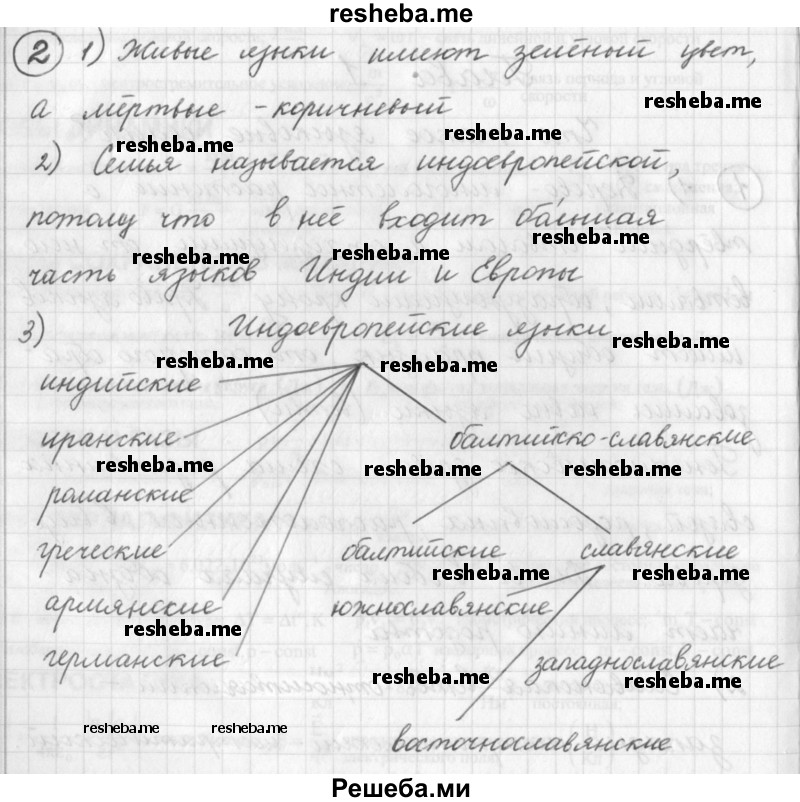     ГДЗ (Решебник) по
    русскому языку    7 класс
                Шмелев А.Д.
     /        глава 1 / 2
    (продолжение 2)
    