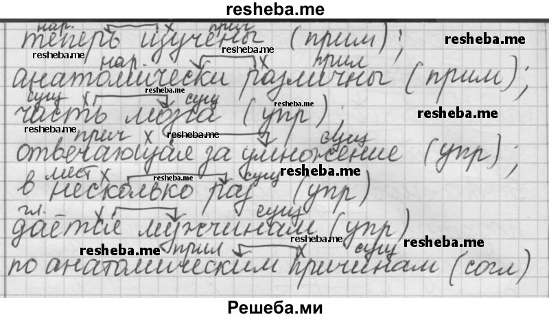     ГДЗ (Решебник) по
    русскому языку    7 класс
                Шмелев А.Д.
     /        глава 5 / 22
    (продолжение 3)
    