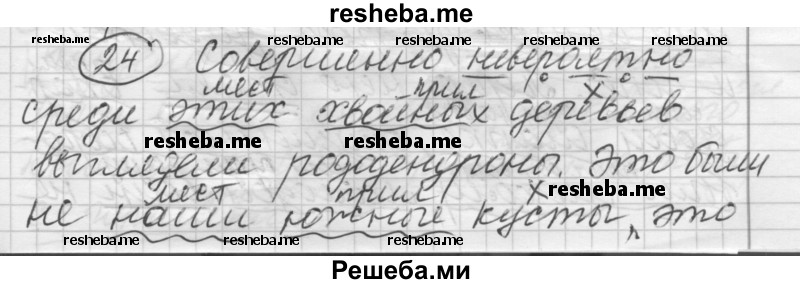     ГДЗ (Решебник) по
    русскому языку    7 класс
                Шмелев А.Д.
     /        глава 7 / 24
    (продолжение 2)
    