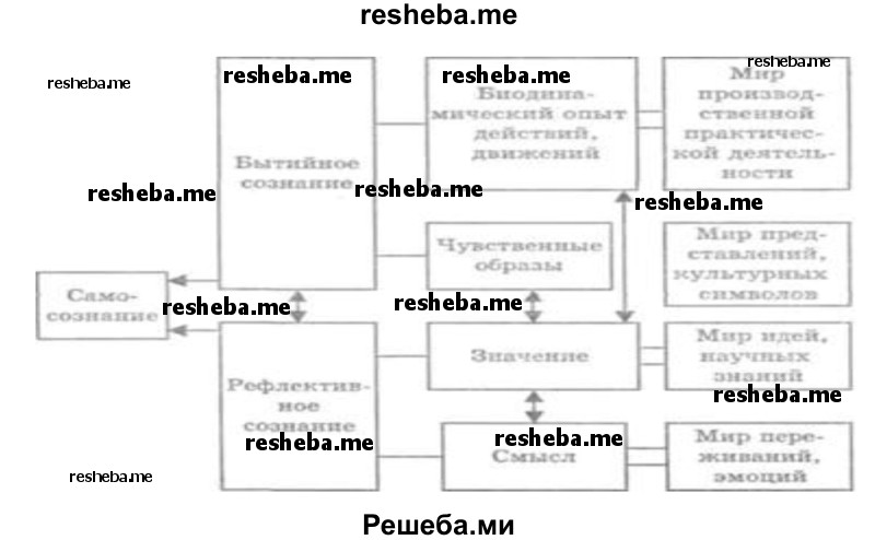 Составь схему логических взаимосвязей понятий: личность, сознание, смысл жизни, свобода воли, потребности, интересы