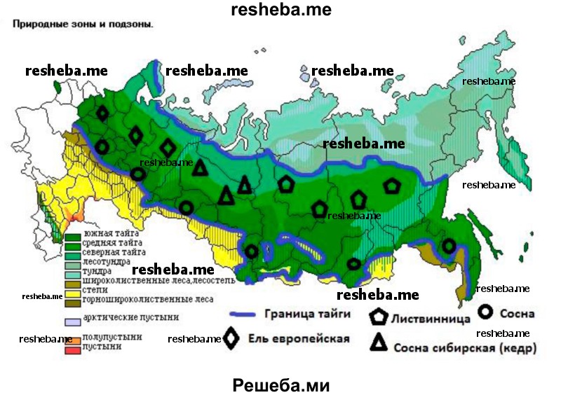 Карта осадков тайга