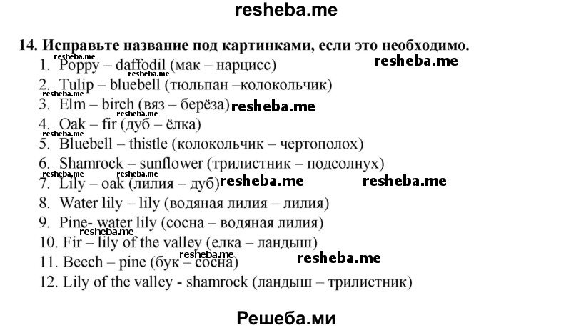     ГДЗ (Решебник) по
    английскому языку    7 класс
            (рабочая тетрадь rainbow)            Афанасьева О. В.
     /        страница № / 91
    (продолжение 2)
    