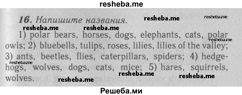     ГДЗ (Решебник 2016 №2) по
    английскому языку    7 класс
            (рабочая тетрадь rainbow)            Афанасьева О. В.
     /        unit four / 16
    (продолжение 2)
    